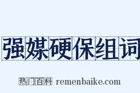 强媒硬保组词是什么意思的图片